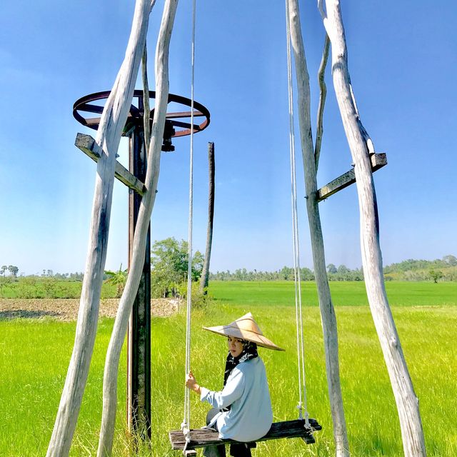 สำเภาไทย คาเฟ่ในทุ่งนา พัทลุง