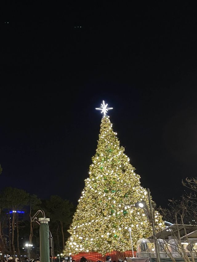 커다란 크리스마스트리는 여기! 서울 잠실 롯데월드몰🎄