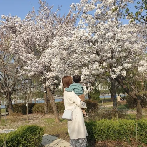 韓国/ソウル【麻浦区】ワールドカップ公園