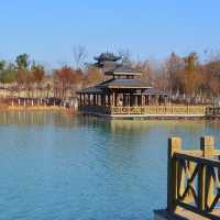 Xinlong Ecological Forest - Changzhou 