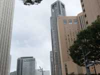 Tokyo Metropolitan Govrn Building - Free View