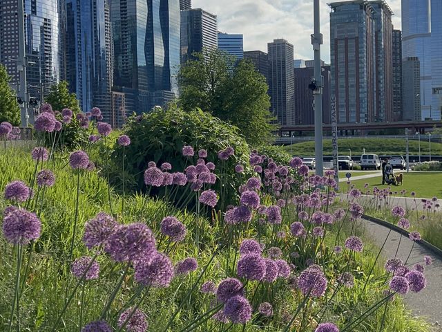 Happening Place in Downtown Chicago