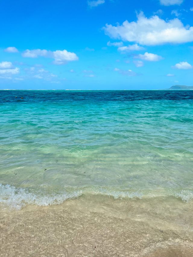 이곳이 지상낙원?! 사이판 마나가하섬🏝