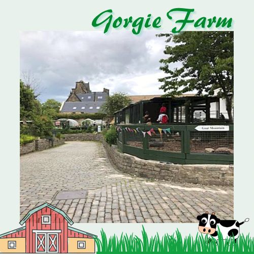 愛丁堡城市中的友好小農場Gorgie Farm