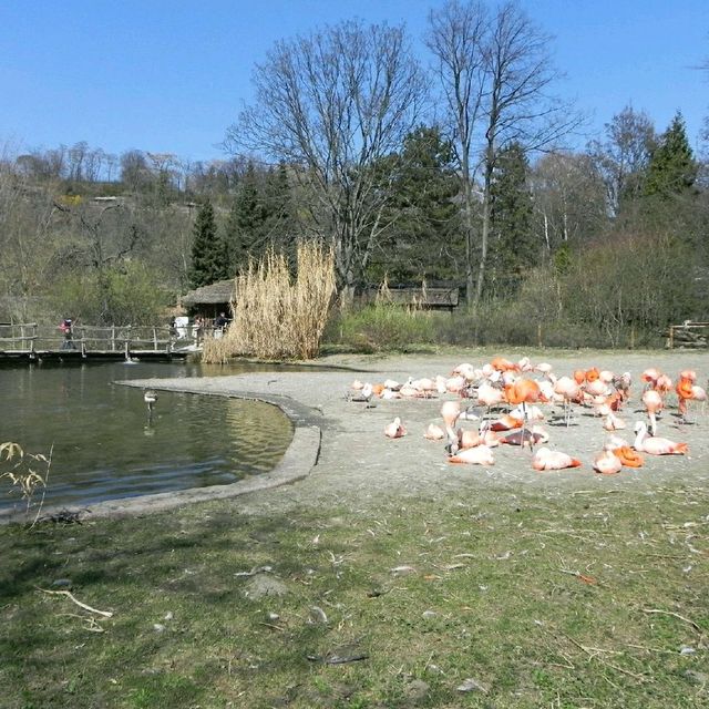 big and amazing zoo in Prague