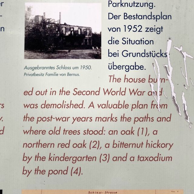 Bernus Park and its History 