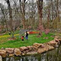 Botanical Garden🌷,  Nanjing