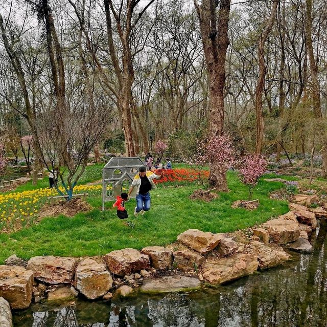 Botanical Garden🌷,  Nanjing