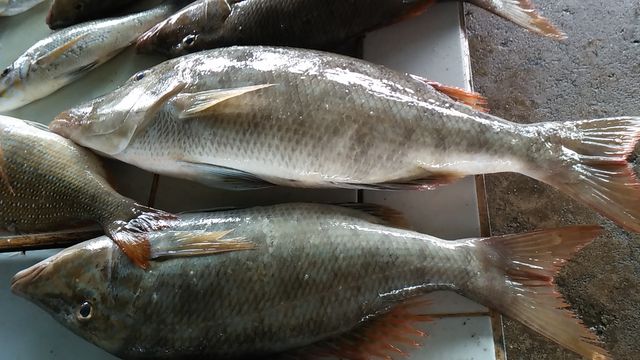 반타얀 퍼블릭 마켓.