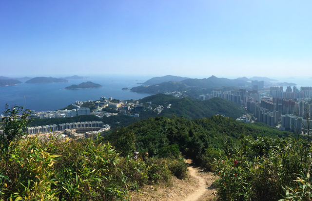 西貢鷓鴣山鴨仔山賞靚景