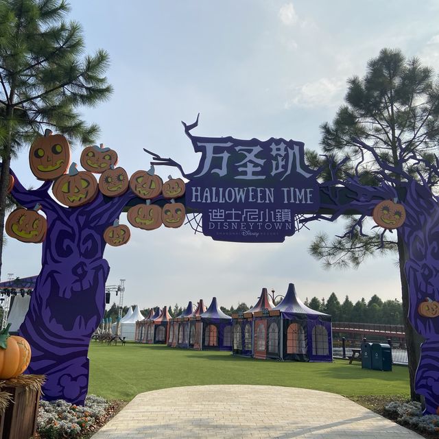 Day Well Spent At Shanghai Disneyland 