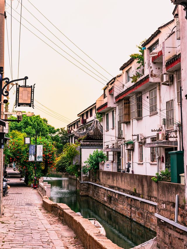 A slice of the Venice of the East 🛶🌿✨