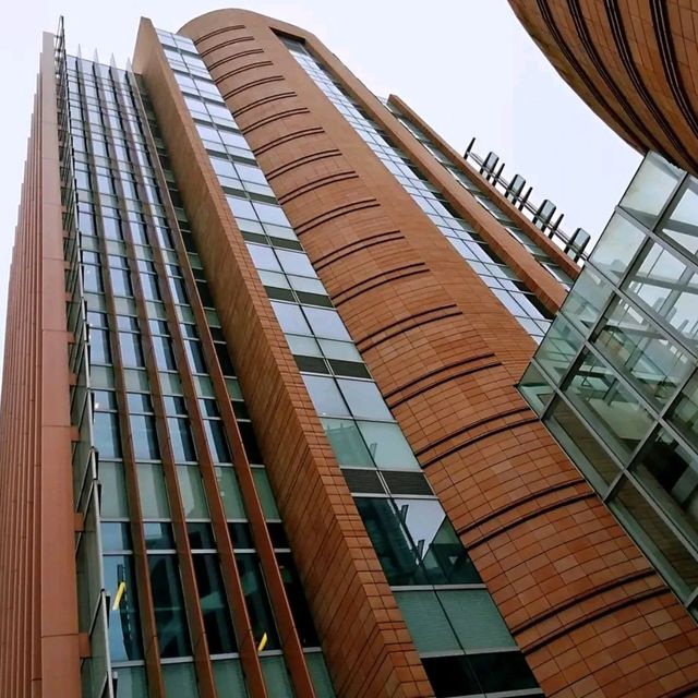 参观香港大学