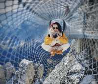 Switzerland's alternative choice to not climb the Jungfrau: Schilthorn and Lauterbrunnen.