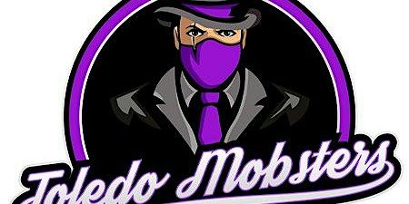 W. Michigan VS Toledo Mobsters | Team Toledo Ice House, West Alexis Road, Toledo, OH, USA