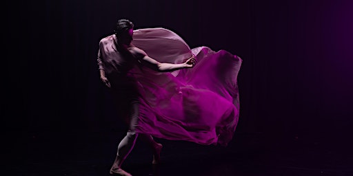 QUEENSLAND BALLET in NOOSA - 2024 - EARLY BIRD TICKETS | The J Noosa