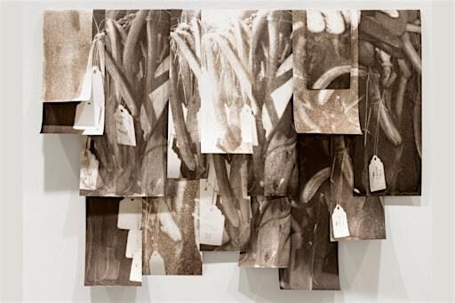 Artist-in-Dialogue with Artist Lucy Kim and Scientist Kirsten Adam | Moody Center For The Arts