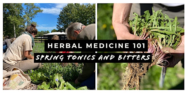 Herbal Medicine 101: Spring Tonics and Bitters | All One One All Farm