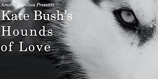 Amoris Canibus Presents: Kate Bush's Hounds Of Love | Ironworks Studios