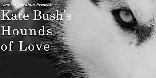 Amoris Canibus Presents: Kate Bush's Hounds Of Love | Ironworks Studios