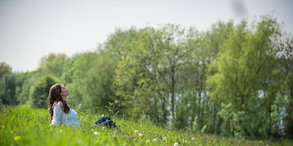 'Summer’s Breath ' Adult Forest Bathing - College Lake, Sunday 27 July | College Lake