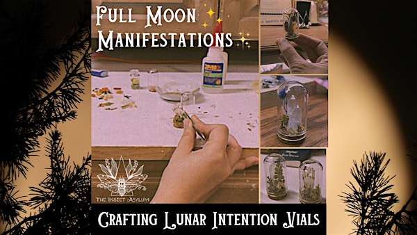 Full Moon Manifestations: Crafting Lunar Intention Vials | The Insect Asylum