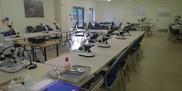 Microscopy for Beekeepers | Royal Agricultural University