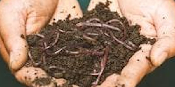 Build a Worm Bin and Start Composting | Shamrock Park & Nature Center