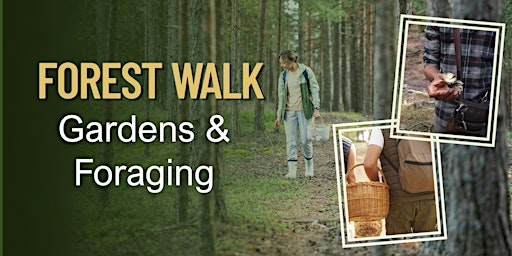Forest Walk: Gardens and Foraging | Ken Seiling Waterloo Region Museum