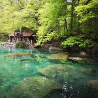 Blausee สะเลสาปสีฟ้า🇨🇭