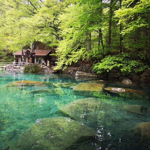 Blausee สะเลสาปสีฟ้า🇨🇭