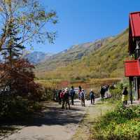 秋の栂池自然園