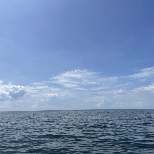 เกาะเต่า ธรรมชาติใต้ทะเล 