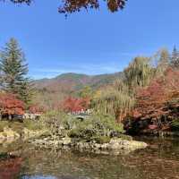 11월 단풍 구경하기 좋은 여행지, 경주 불국사