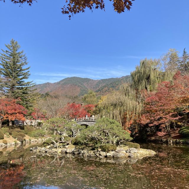 11월 단풍 구경하기 좋은 여행지, 경주 불국사 11월 단풍 구경하기 좋은 여행지, 경주 불국사