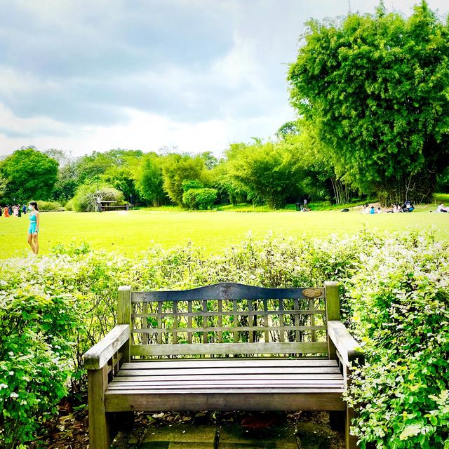 Singapore Botanic Gardens - Nature walk