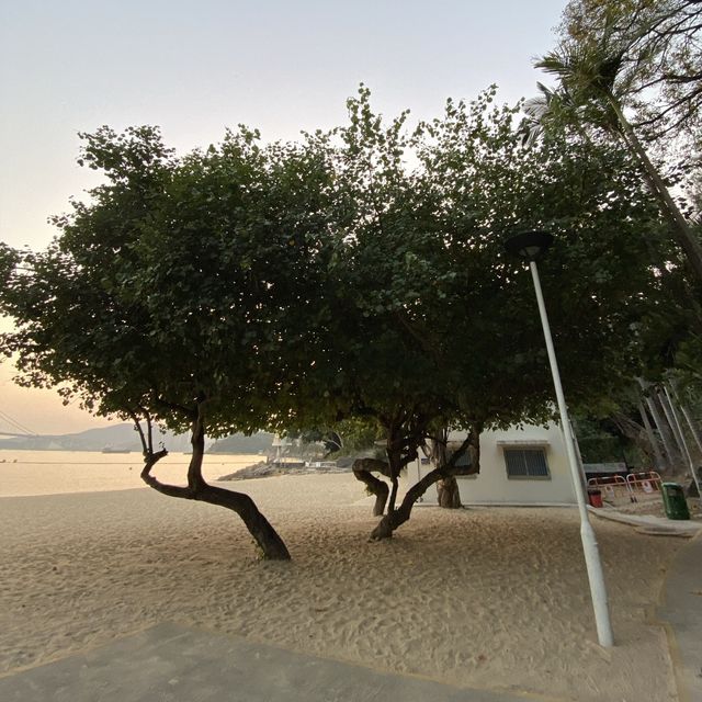 麗都灣