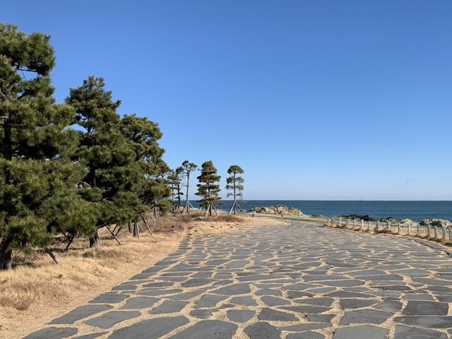 [🇰🇷, 부산] 기장의 오시리아 해안산책로 🌊