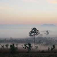 ธรรมชาติรังสรรค์ ภาพสวยงาม