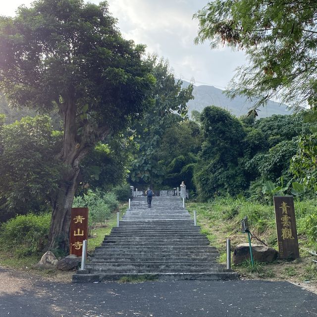 青山登頂 青山登頂