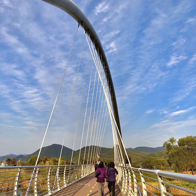 남양주 인생샷 핫플 꽃군락 "물의정원"