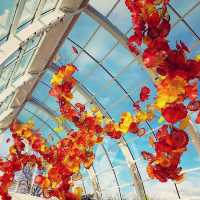 시애틀 'Chihuly Garden and Glass'