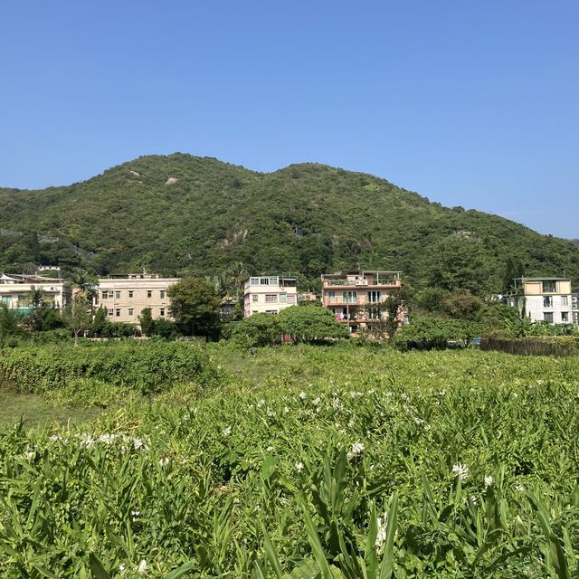 梅窩一星簡易行山路線回東涌 