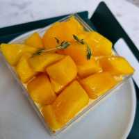 진주 신상 금산 카페  '하우스오브' 