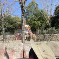 金沢動物園！大きな滑り台の公園もあるよ！