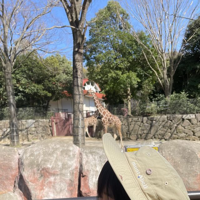 金沢動物園！大きな滑り台の公園もあるよ！