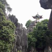 Great trip  on the rocks of Stone Forest