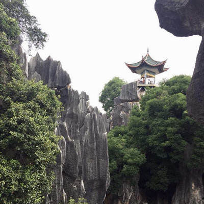 Great trip on the rocks of Stone Forest | Trip.com Shilin