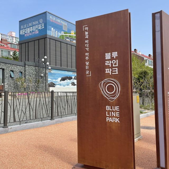 부산에서의 알찬 2박 3일 여행코스 공유해요! (뚜벅이코스)