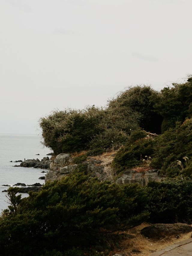 한반도 인생샷✨큰엉해안승경지✨